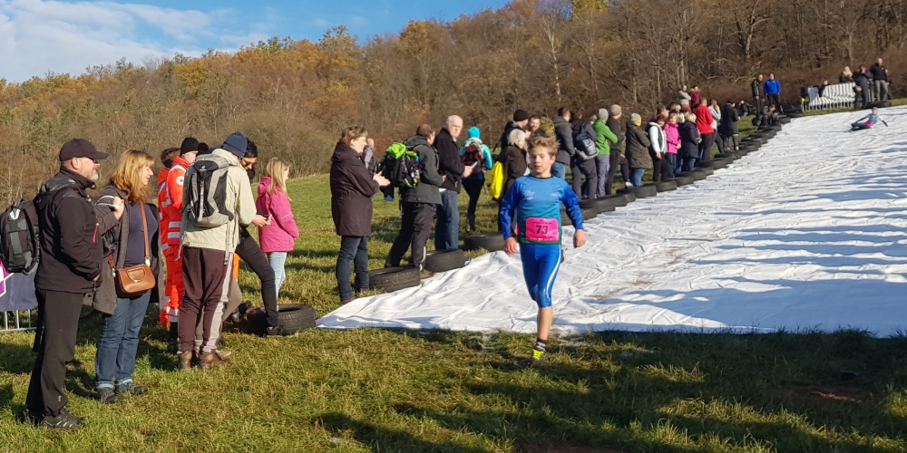 Crosslauf 2019